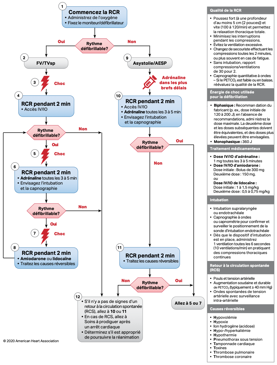 découvrez notre guide complet sur la rcp pour les infirmiers, qui vous fournit des informations essentielles et des techniques de réanimation cardiopulmonaire pour sauver des vies. un outil indispensable pour renforcer vos compétences et assurer la sécurité de vos patients.